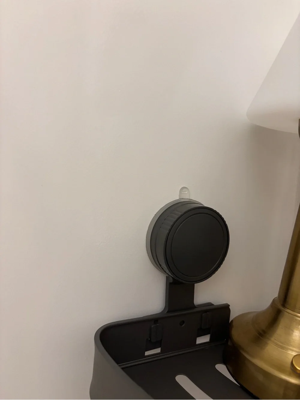 Corner shower shelf